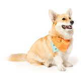 Tucson Pet Bandana
