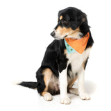 Tucson Pet Bandana