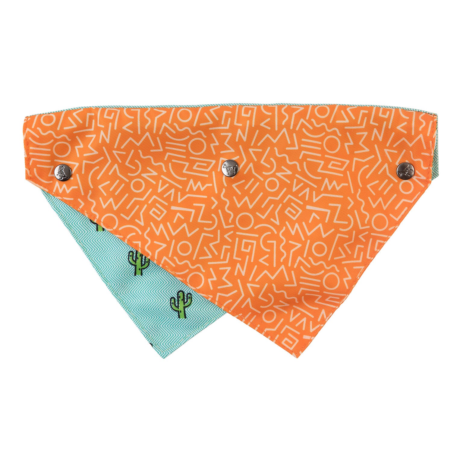 Tucson Pet Bandana
