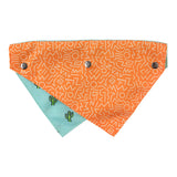 Tucson Pet Bandana