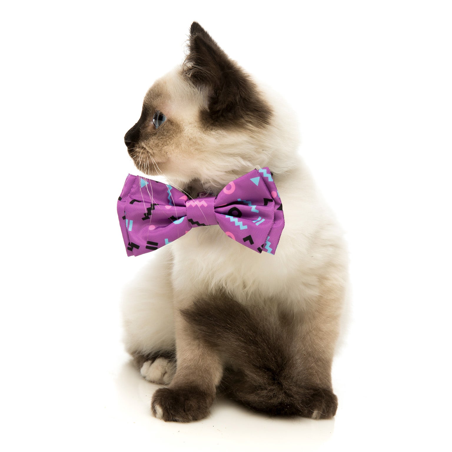 Prince Pet Bow Tie