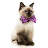 Prince Pet Bow Tie