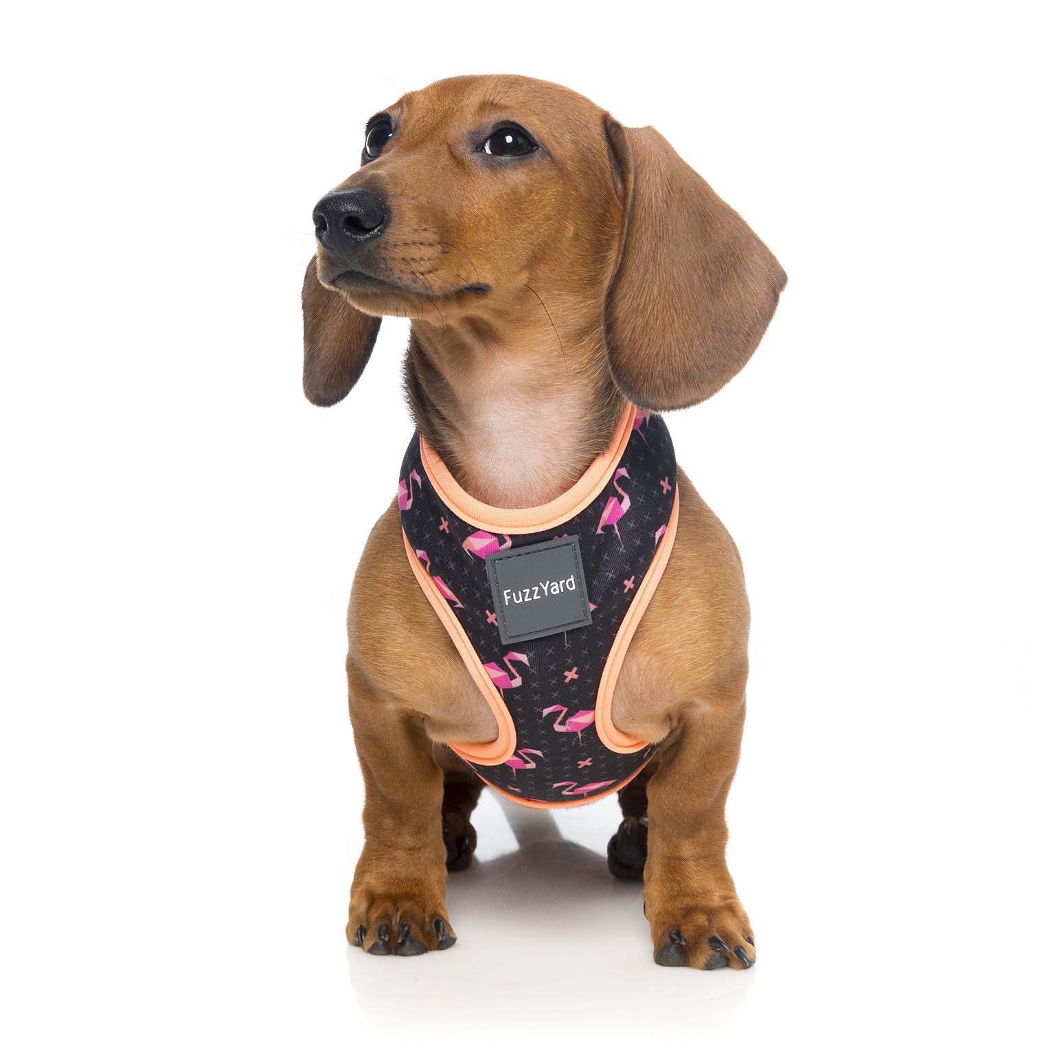 Fabmingo Dog Harness