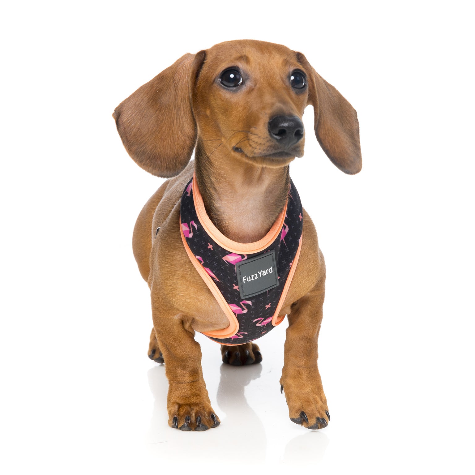 Fabmingo Dog Harness