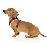 Fabmingo Dog Harness