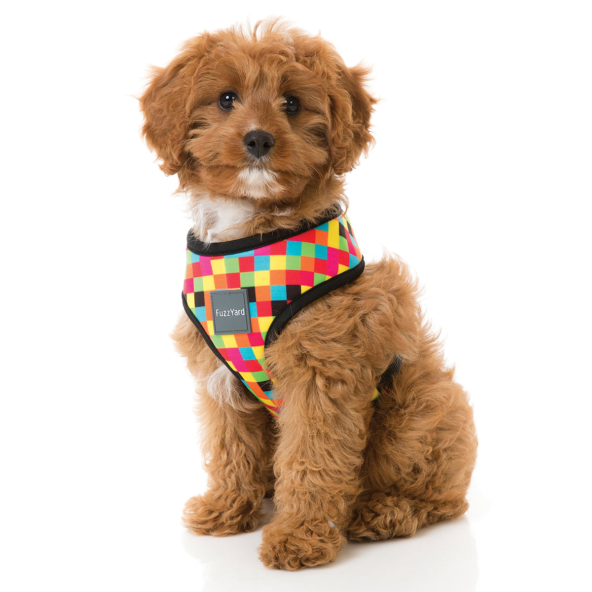 FuzzYard 1983 dog harness with multi coloured checks