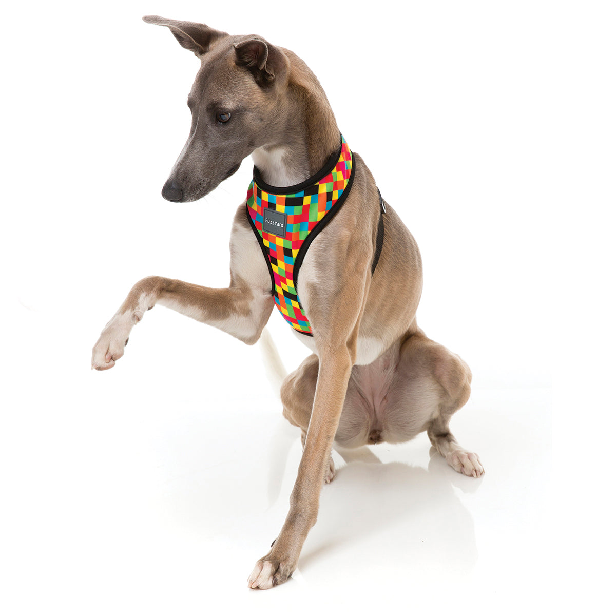 FuzzYard 1983 dog harness with multi coloured checks