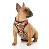 FuzzYard 1983 dog harness with multi coloured checks