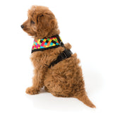 FuzzYard 1983 dog harness with multi coloured checks