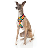 FuzzYard 1983 dog harness with multi coloured checks