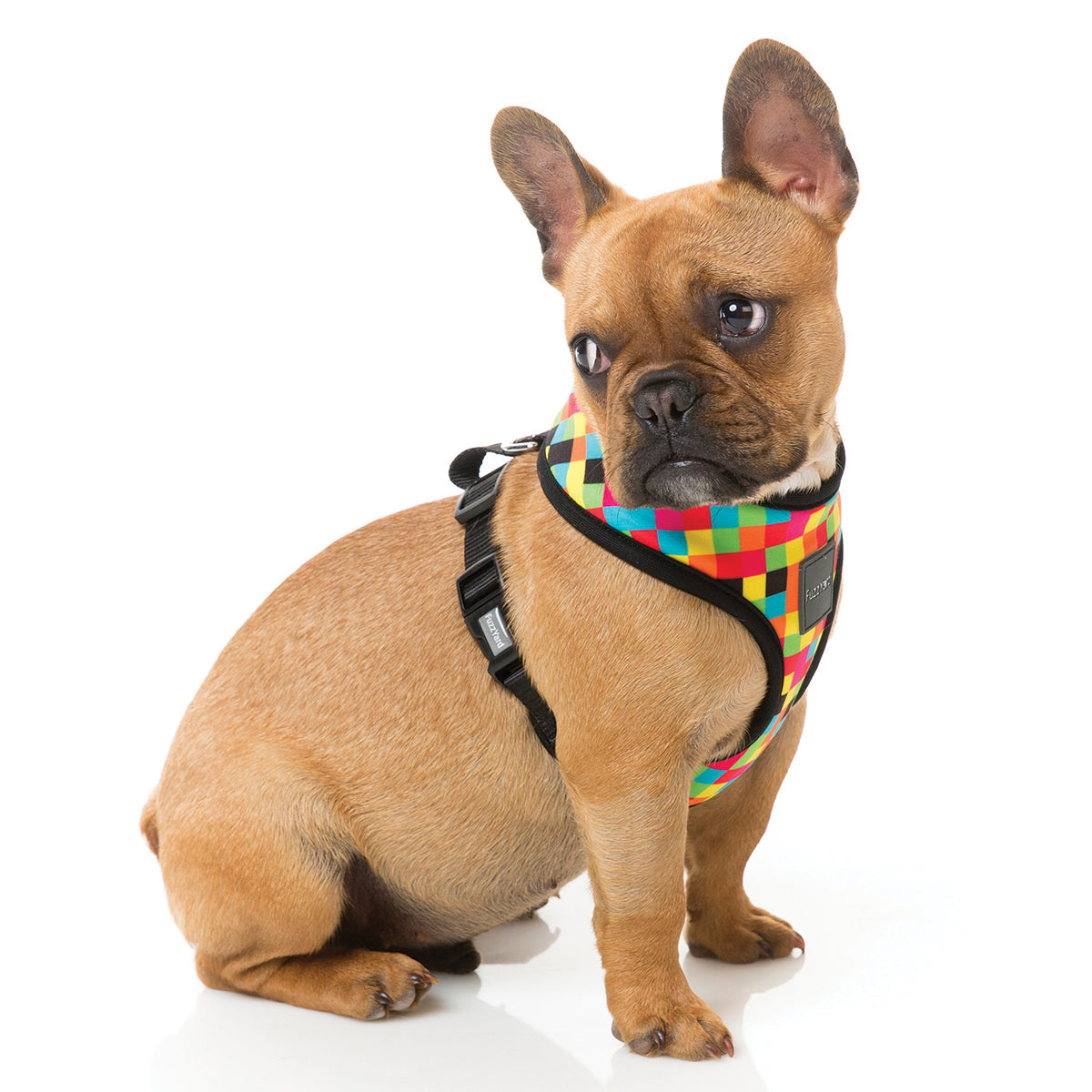 FuzzYard 1983 dog harness with multi coloured checks