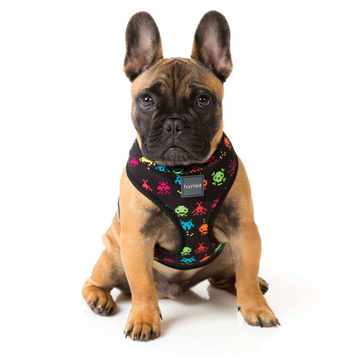 FuzzYard dog harness with multi colour space raiders
