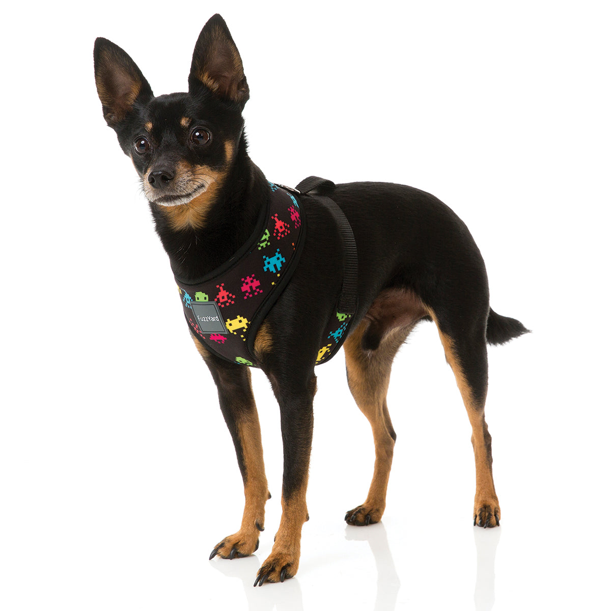 FuzzYard dog harness with multi colour space raiders