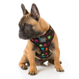 FuzzYard dog harness with multi colour space raiders
