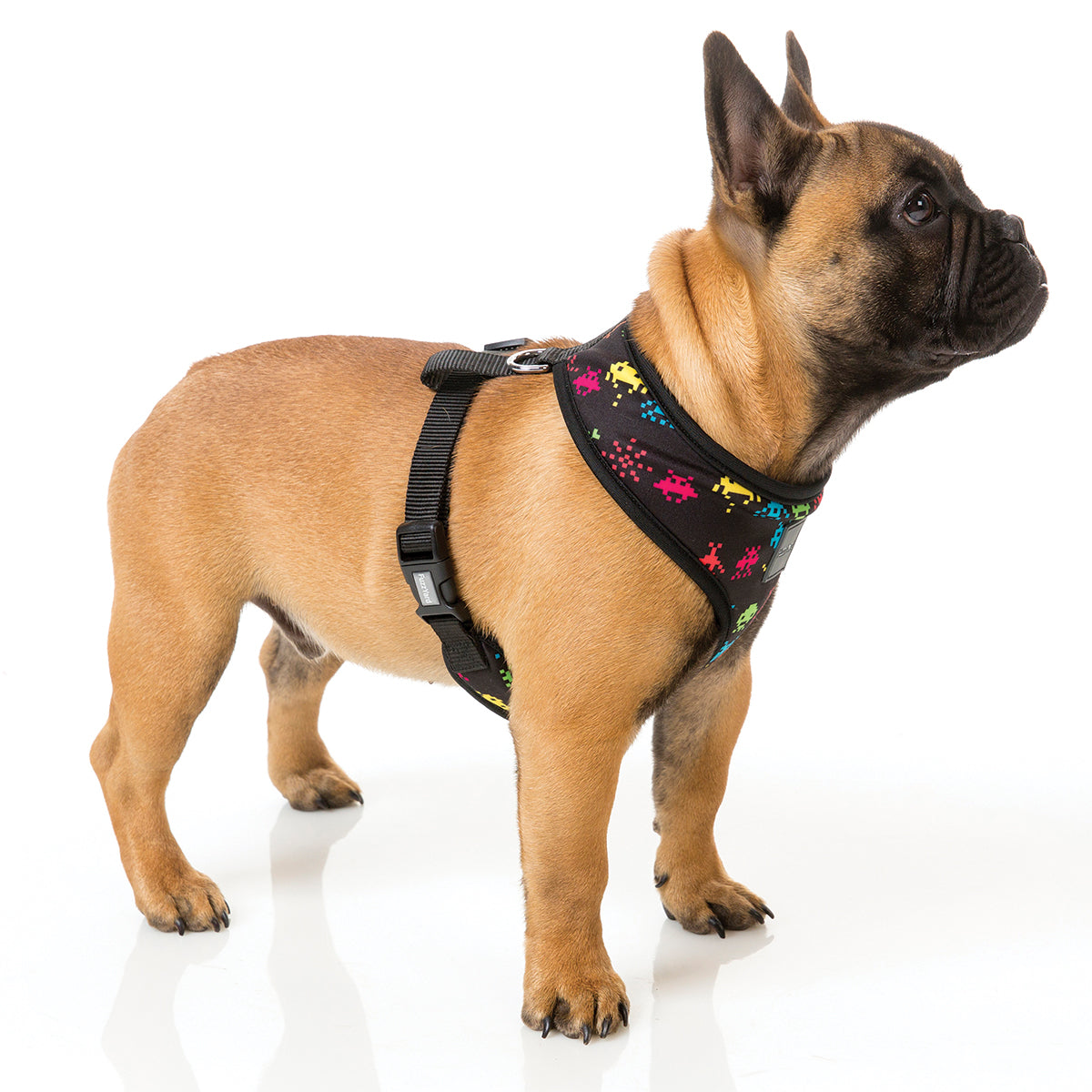 FuzzYard dog harness with multi colour space raiders
