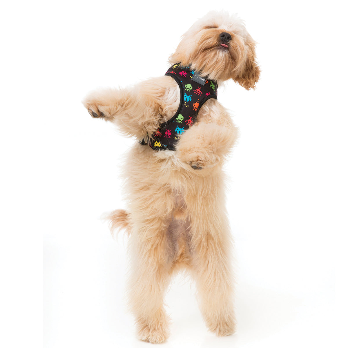 FuzzYard dog harness with multi colour space raiders