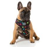 FuzzYard dog harness with multi colour space raiders