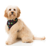 FuzzYard dog harness with multi colour space raiders