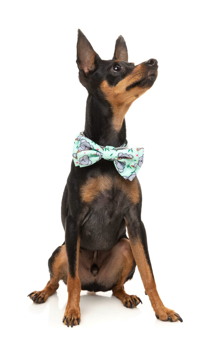 Dreamtime Koala - Bowtie by FuzzYard