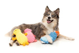 Belly The Bed Bug (Yellow) - Dog Toy by FuzzYard