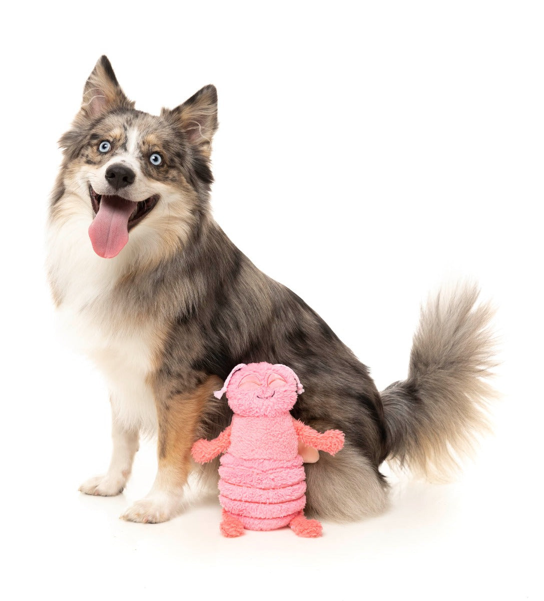 Flutter The Bed Bug (Pink) - Dog Toy by FuzzYard
