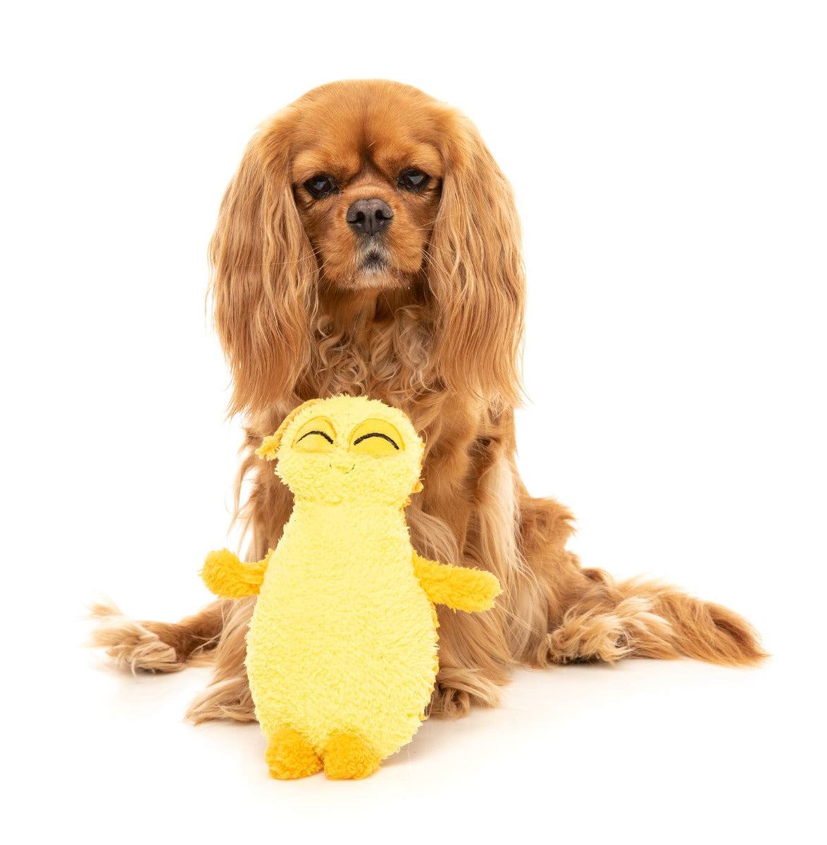 Belly The Bed Bug (Yellow) - Dog Toy by FuzzYard
