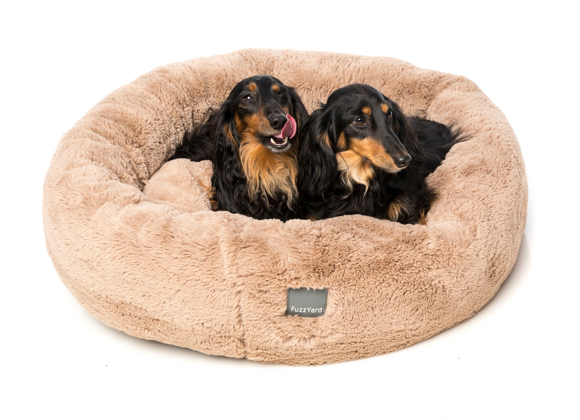 Eskimo Pet Bed - Latte