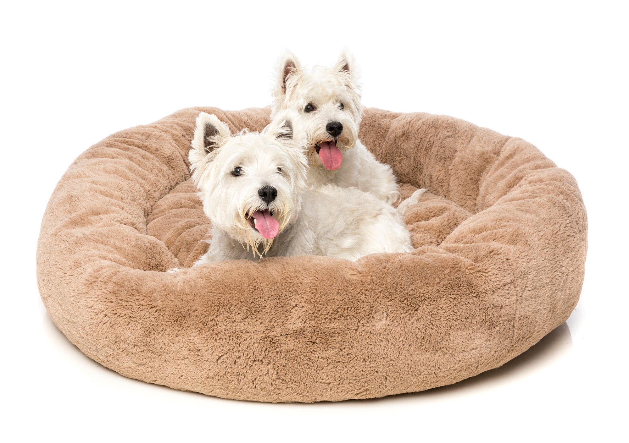 Eskimo Pet Bed - Latte