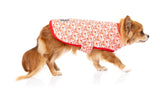 Hey There Sweetie Wrap Vest by FuzzYard