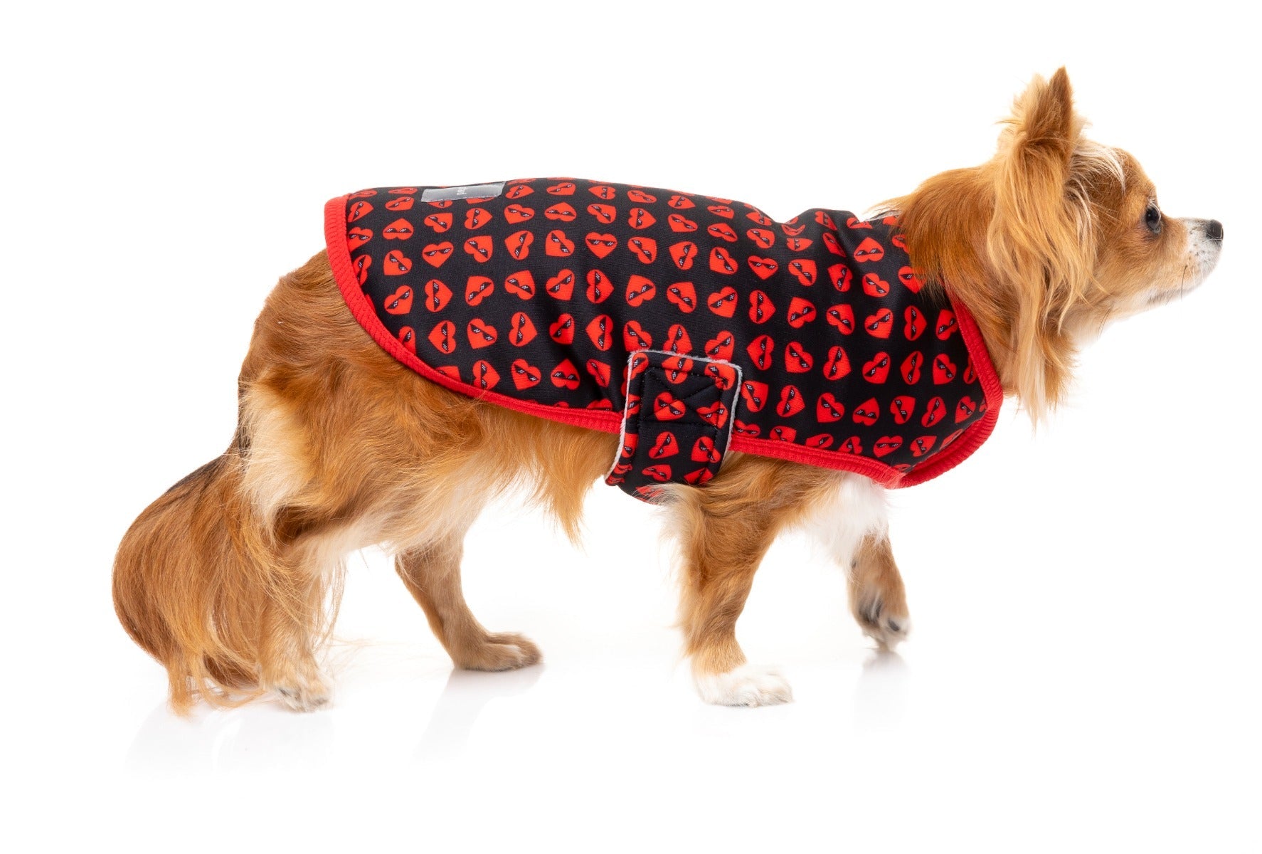 Heartbreaker Wrap Vest for dogs by FuzzYard