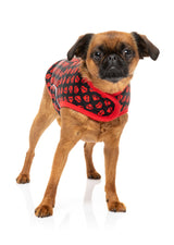 Heartbreaker Wrap Vest for dogs by FuzzYard