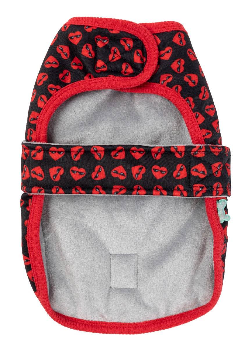 Heartbreaker Wrap Vest for dogs by FuzzYard