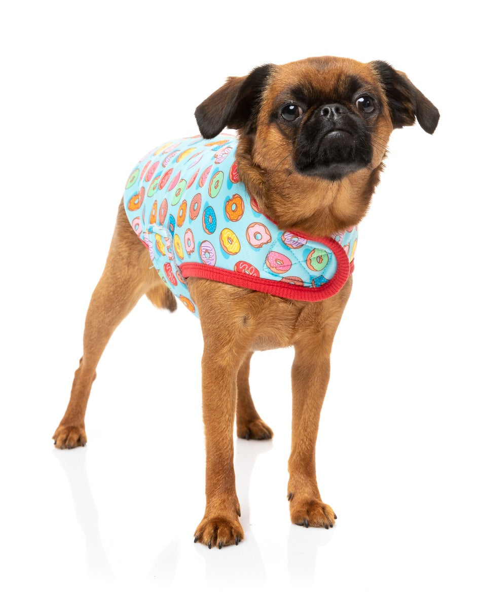 small dog wearing You Drive Me Glazy Wrap Vest for dogs by FuzzYard - For Donut Lovers!