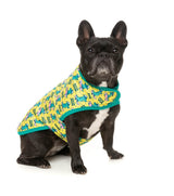 Sk8ter Gator -  Pet Wrap Vest by FuzzYard
