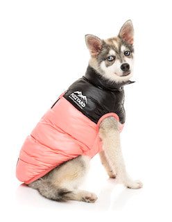 Pink Lightweight and waterproof puffer jacket on Husky dog by FuzzYard