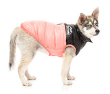 Pink Lightweight and waterproof puffer jacket on Husky dog by FuzzYard