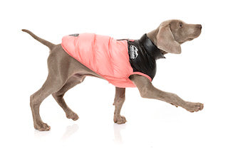 Pink Lightweight and waterproof puffer jacket on dog by FuzzYard