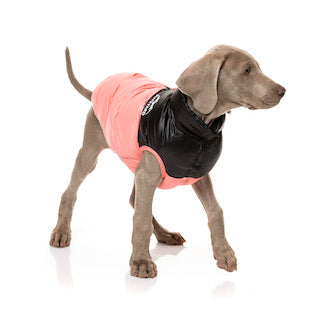 Pink Lightweight and waterproof puffer jacket on dog by FuzzYard