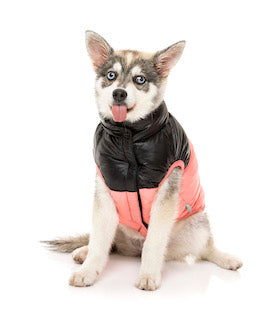 Pink Lightweight and waterproof puffer jacket on Husky dog by FuzzYard
