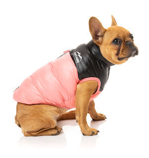 Pink Lightweight and waterproof puffer jacket on French Bulldog by FuzzYard