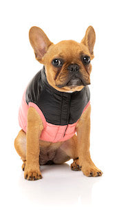 Pink Lightweight and waterproof puffer jacket on French Bulldog by FuzzYard
