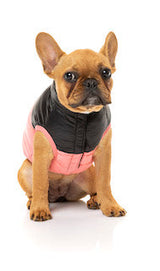 Pink Lightweight and waterproof puffer jacket on French Bulldog by FuzzYard