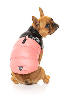 Pink Lightweight and waterproof puffer jacket on French Bulldog by FuzzYard