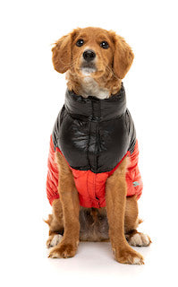 Red Lightweight and waterproof puffer jacket on dog by FuzzYard