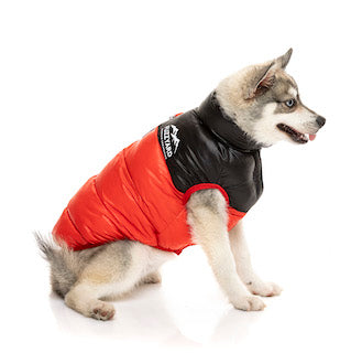 Red Lightweight and waterproof puffer jacket on dog by FuzzYard
