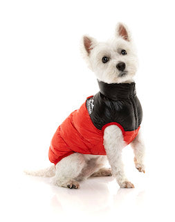 Red Lightweight and waterproof puffer jacket on dog by FuzzYard