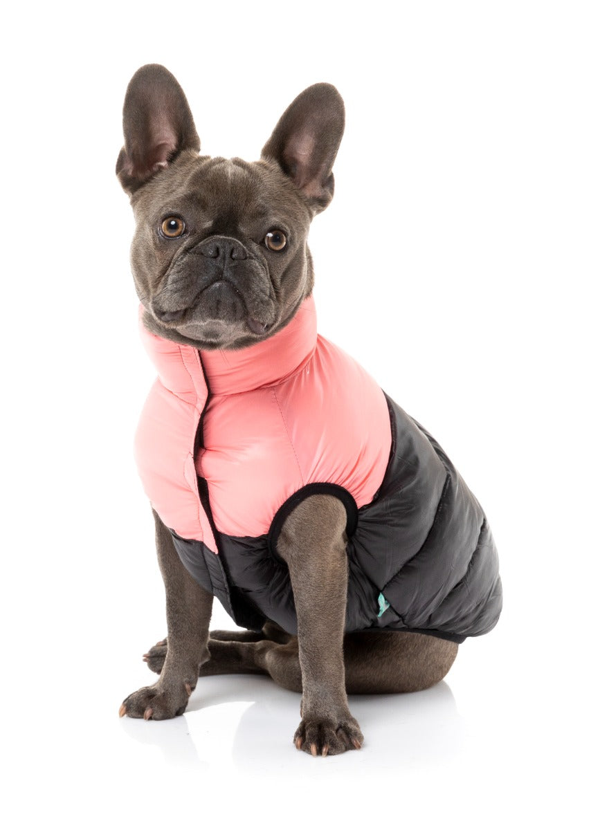 French Bulldog wearing Pink East Harlem Puffer Jacket for dogs