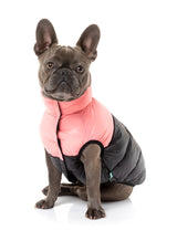 French Bulldog wearing Pink East Harlem Puffer Jacket for dogs