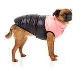 Griffin wearing Pink East Harlem Puffer Jacket for dogs
