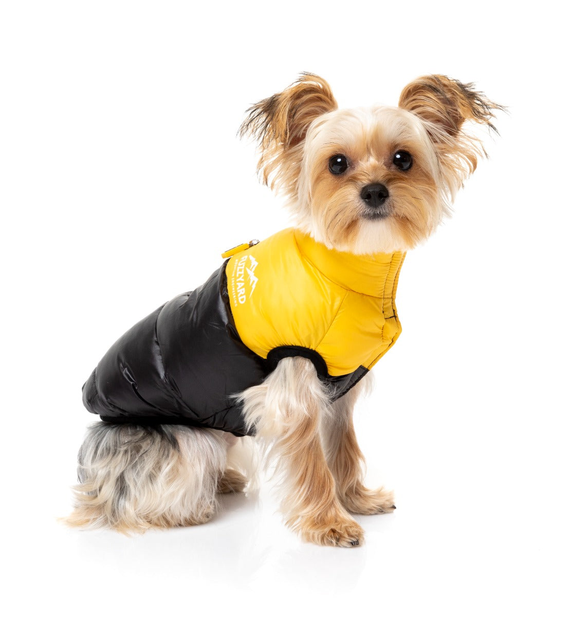 Yorkie Wearing Yellow East Harlem Dog Puffer Jacket